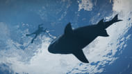 GTA V Animals